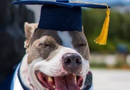 Ragazza malata laureata "insieme" alla sua cagnolina