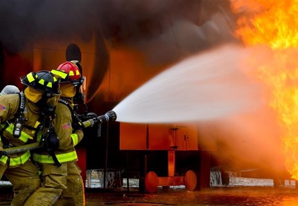 Un progetto per salvare gli animali dagli incendi