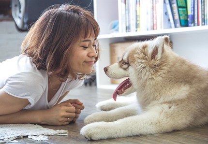 Gli italiani si dedicano ai pet