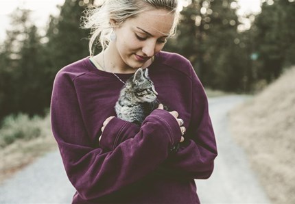 Il carattere del gatto come quello del padrone. Lo studio