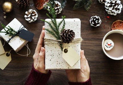 Per Natale regala un libro... felino