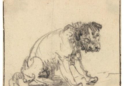 Il terrier è di Rembrandt! La scoperta