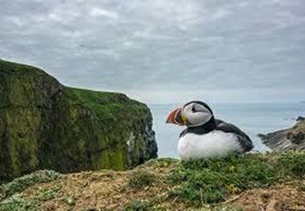 La fotografia fa bene alla natura