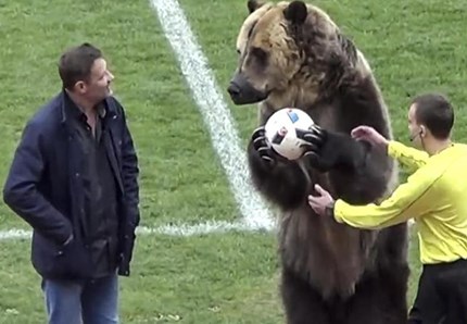 Mondiali 2018, un orso consegna la palla