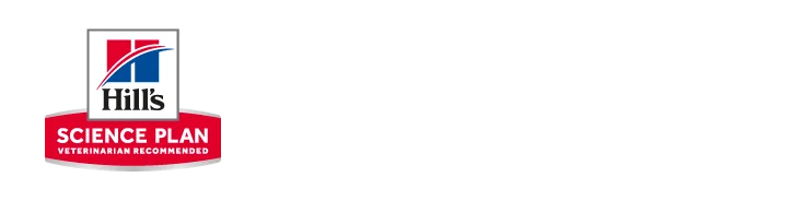 Promo Hill's - Settembre 2026 - Corner