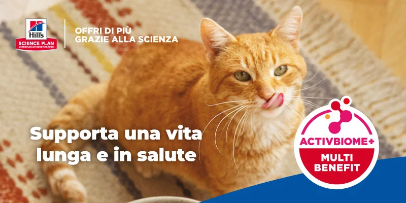 Ciotola di cibo Hill's Science Plan con croccantini per cani e gatti