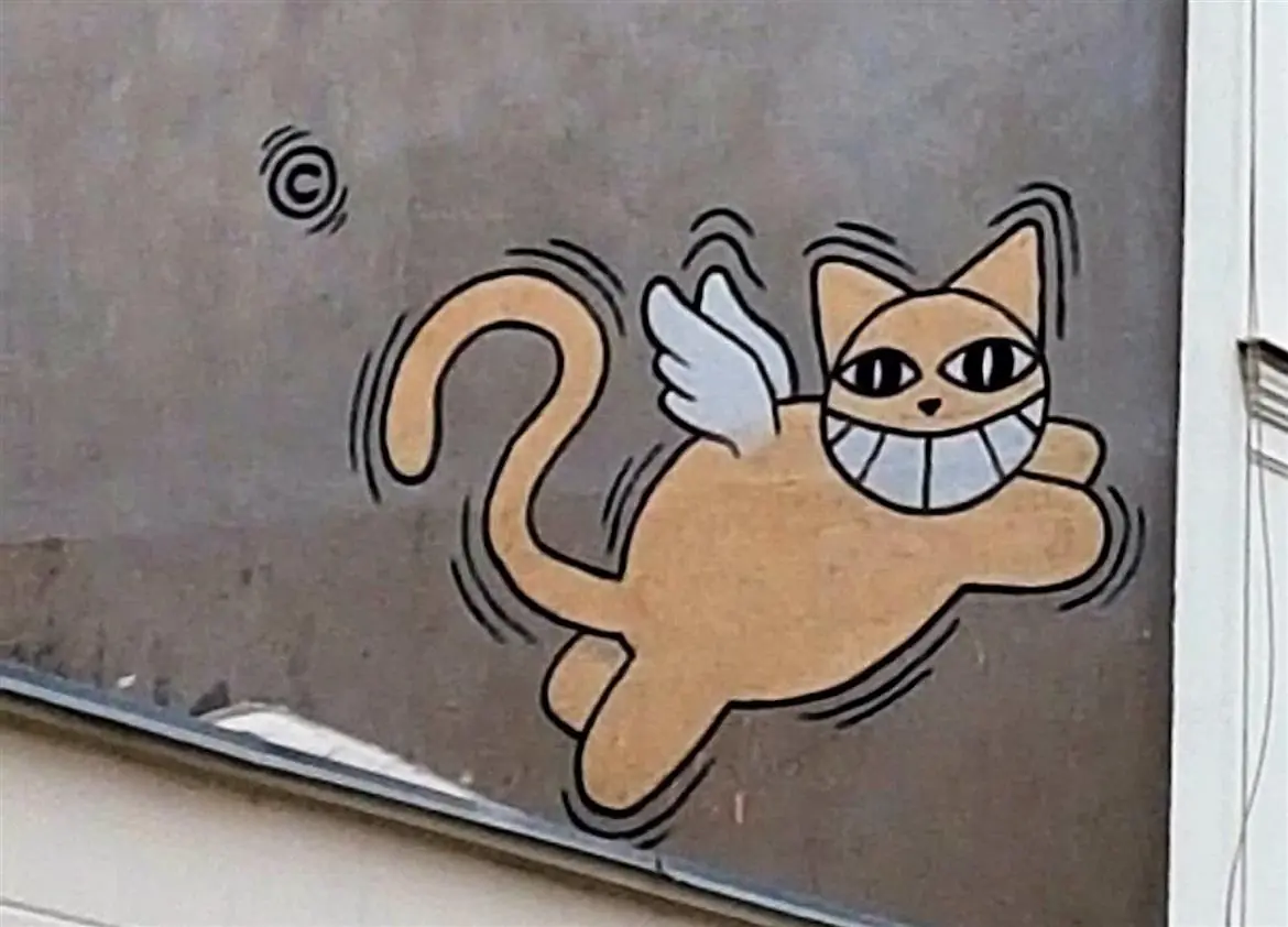 Vederlo porta fortuna! Il mistero del gatto che ride
