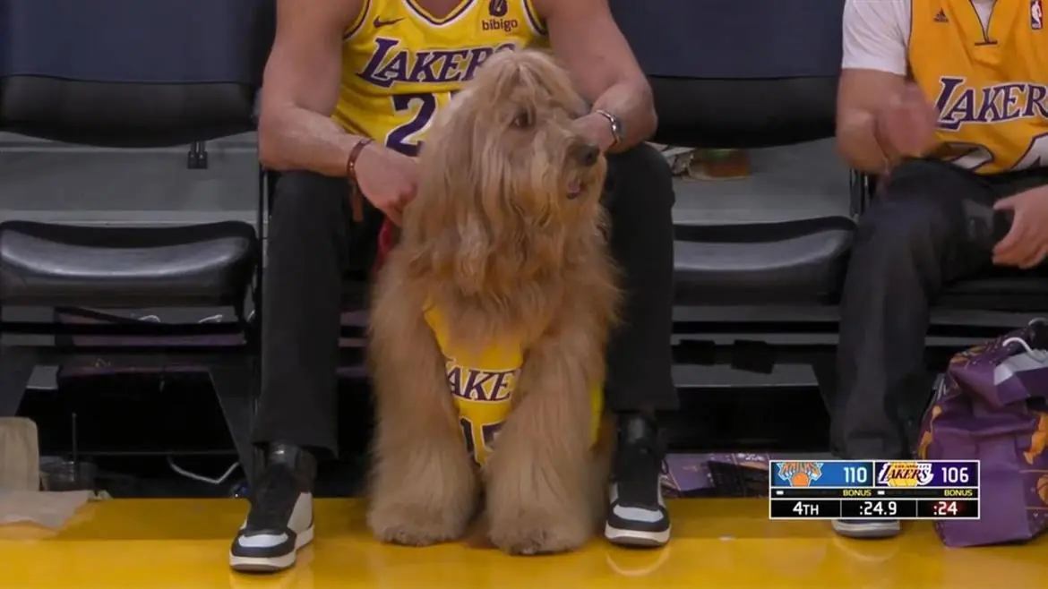 NBA, un cane da un milione di follower