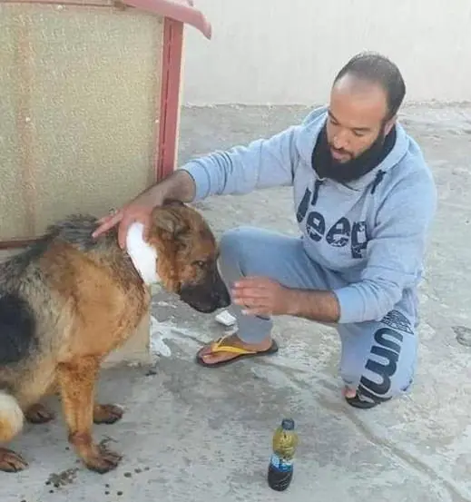 Il cane ferito in Libia commuove il mondo