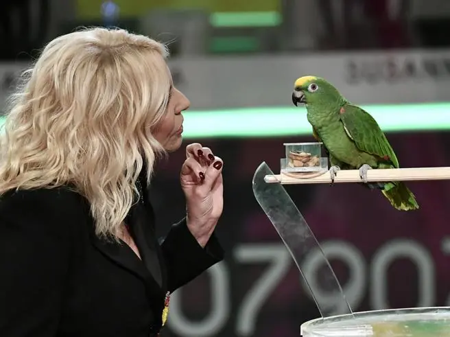 Animalisti contro Antonella Clerici