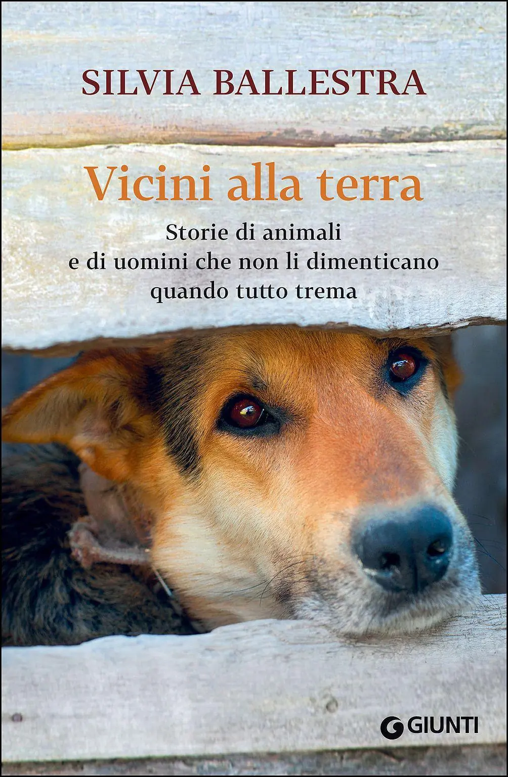 Terremoto, a loro chi ci pensa?