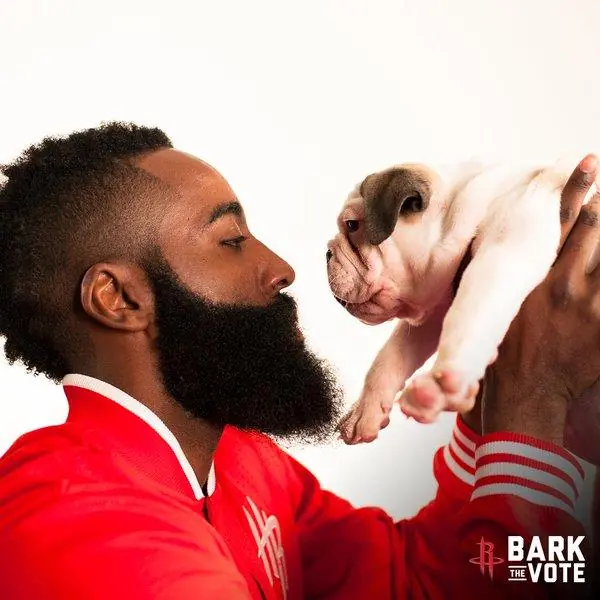 Cani in NBA? Sì, con la Dog Walk dei Rockets