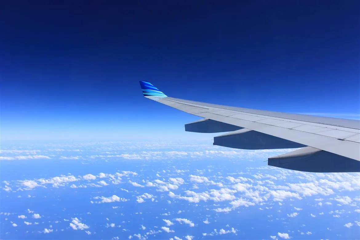 Aereo, nave, treno: viaggiare con loro