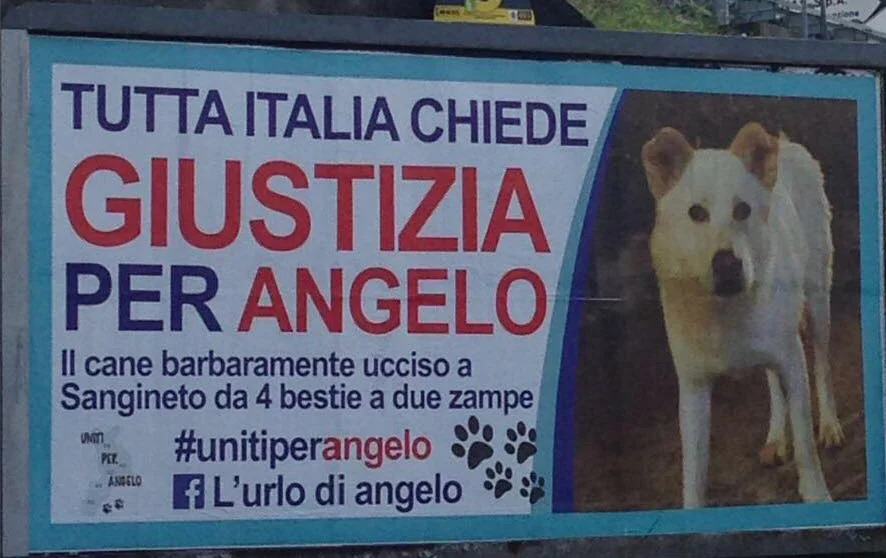 Il cane Angelo rivive al cinema