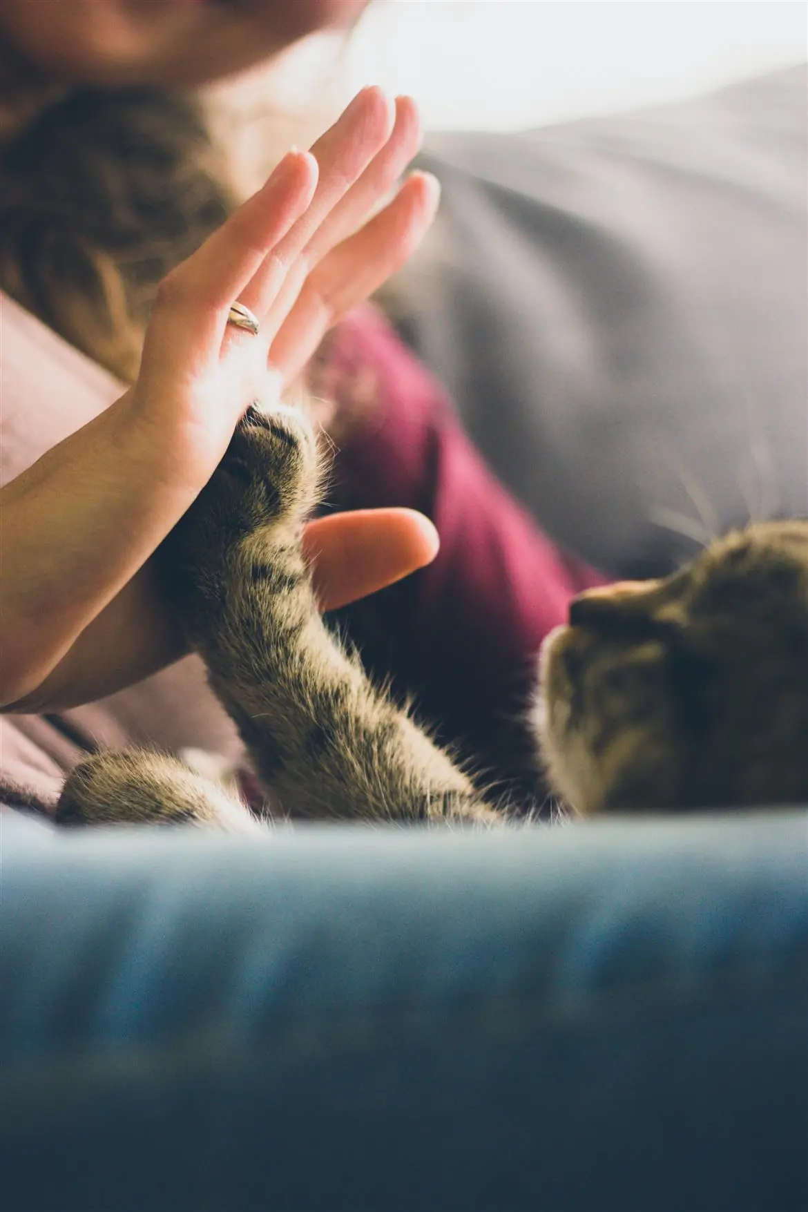 Feeling con gli animali? E' nel Dna
