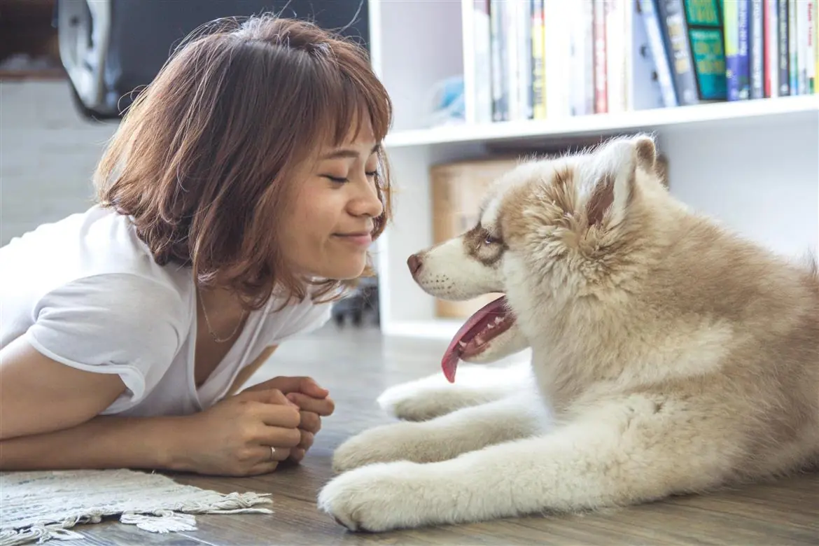 Gli italiani si dedicano ai pet