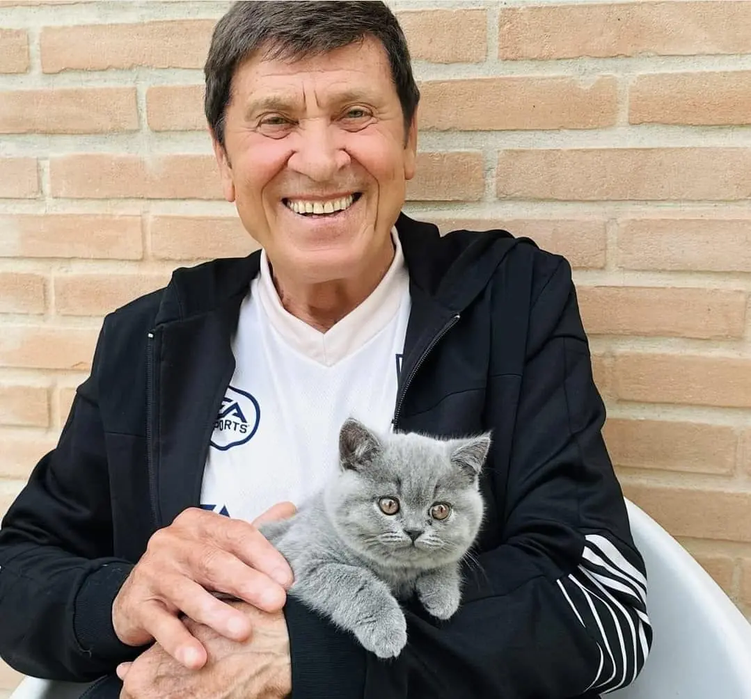 Gianni Morandi ha preso un gattino