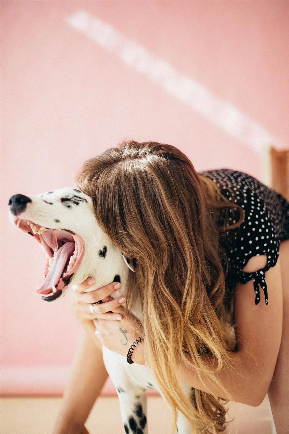 Vivere con un cane allunga la vita