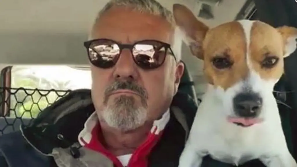 Presidente del consiglio comunale guida col cane in spalla, il web insorge