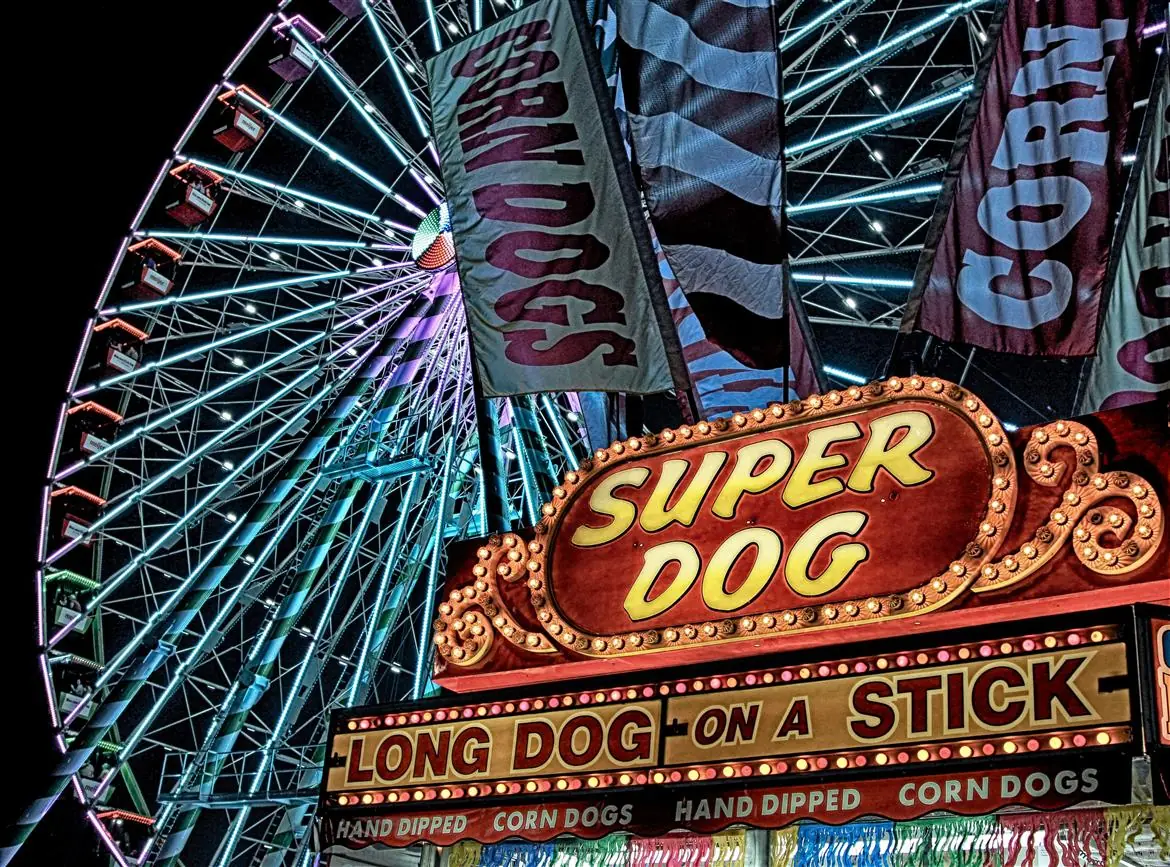Stop al circo con animali