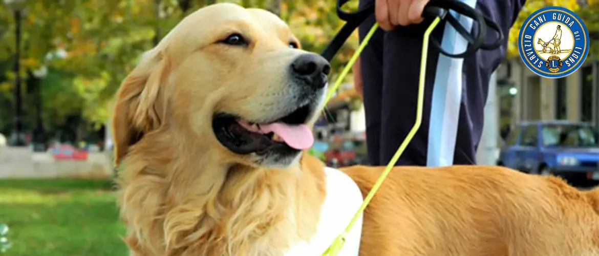 Cani guida, l'iniziativa milanese
