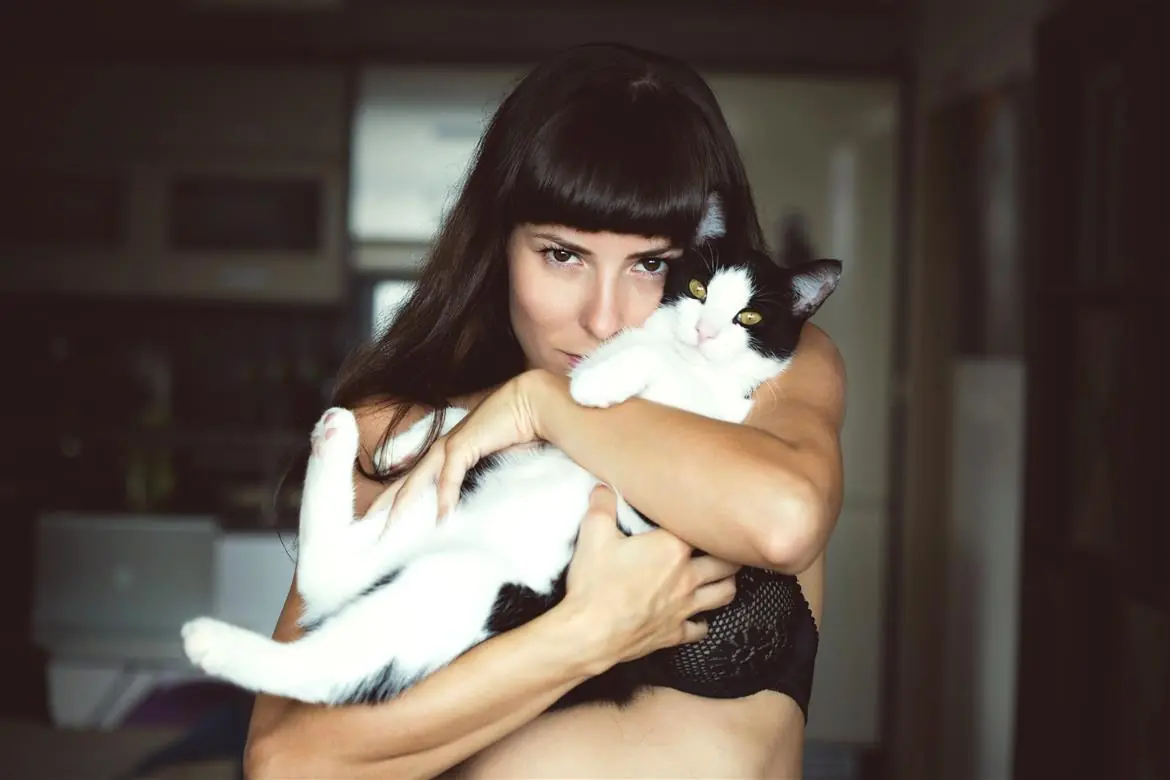 Giornata del gatto, uno studio ce li farà amare ancor di più