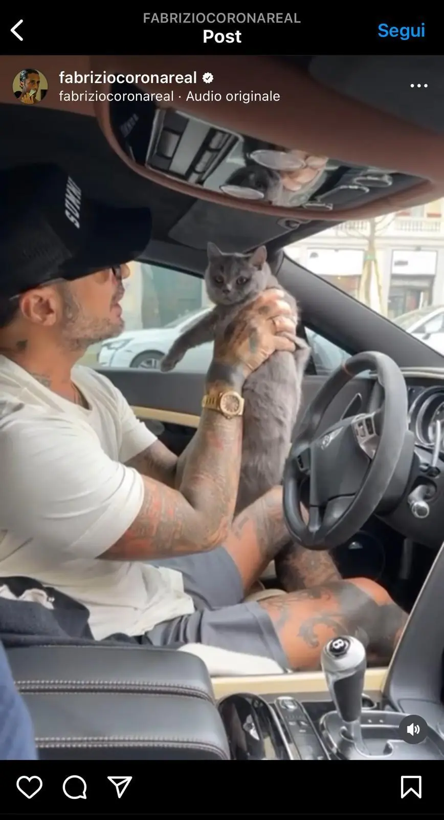 Il gattino di Fabrizio Corona dal veterinario
