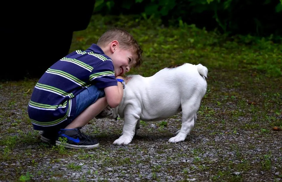 Due giorni per neonati e animali