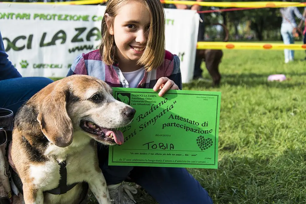 Una domenica per i nostri cani