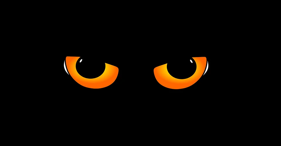 Gli occhi del gatto? Funzionano così