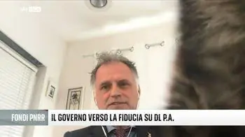 Garavaglia interrotto dal gatto durante l'intervista a Sky