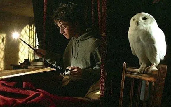 La Rowling: non teniamo gufi in casa
