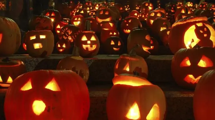 Halloween si avvicina, salviamo i gatti neri