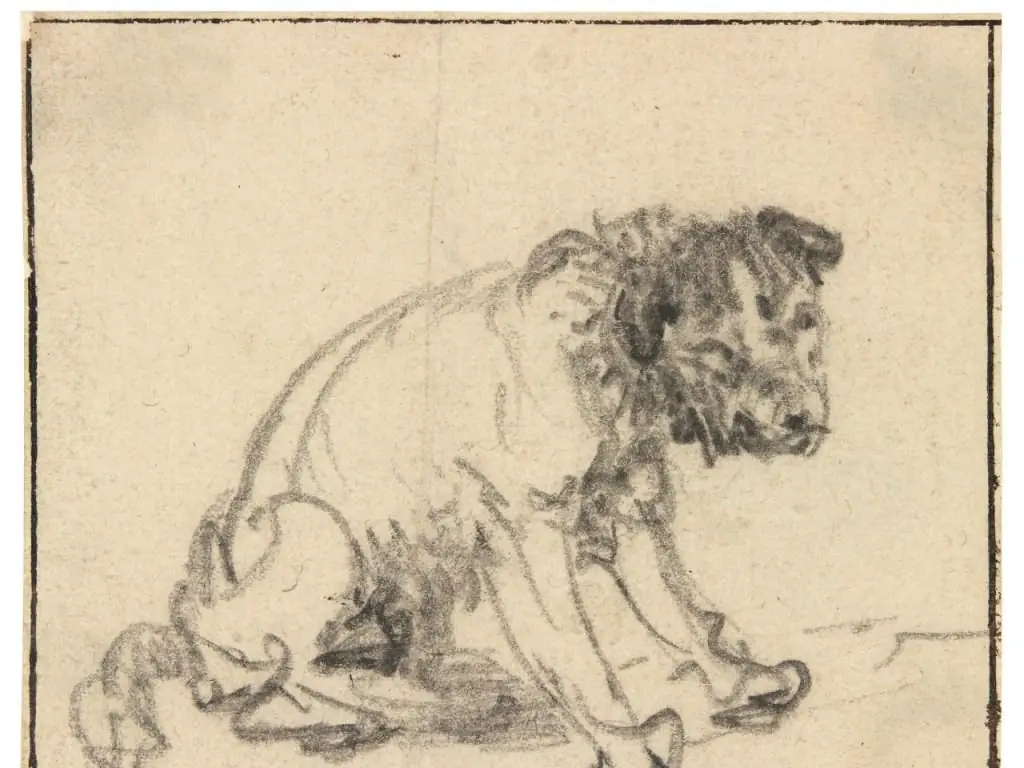 Il terrier è di Rembrandt! La scoperta