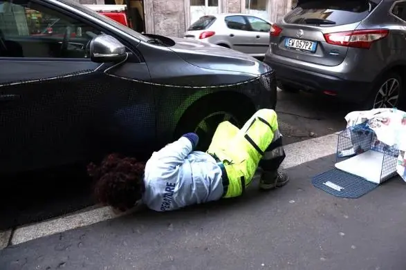 Enpa, "così lo abbiamo salvato"
