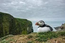 La fotografia fa bene alla natura