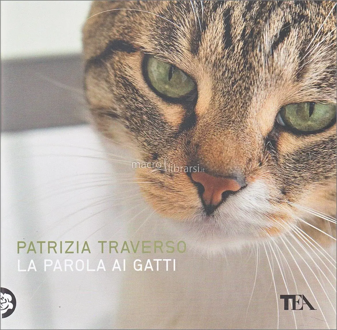 Il gatto parla... eccome