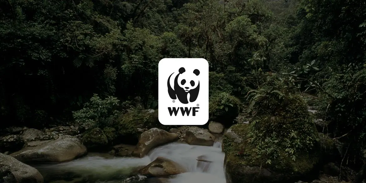 Caccia, l'allarme del wwf