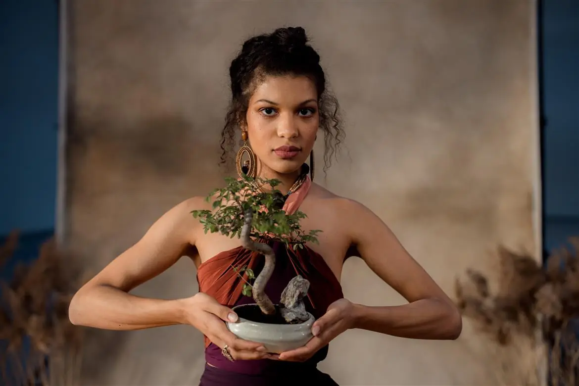 Esotici e bonsai a Gonzaga