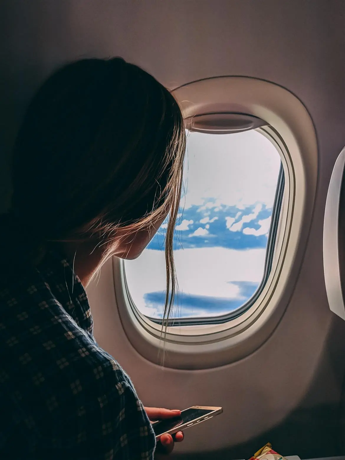 Cani e gatti in aereo sempre accanto ai proprietari