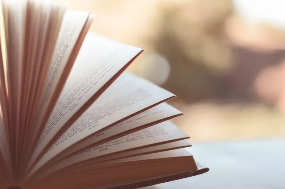 Una lettura gattofila per il weekend