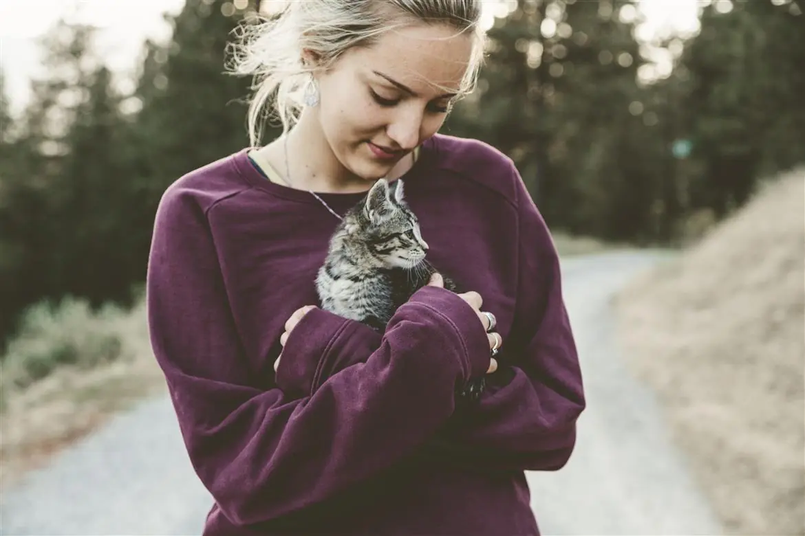 Accarezzatore di gatti per 25 mila euro
