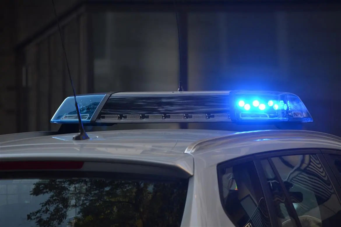 Fa una carezza al cane dei carabinieri, l’animale la morde al volto