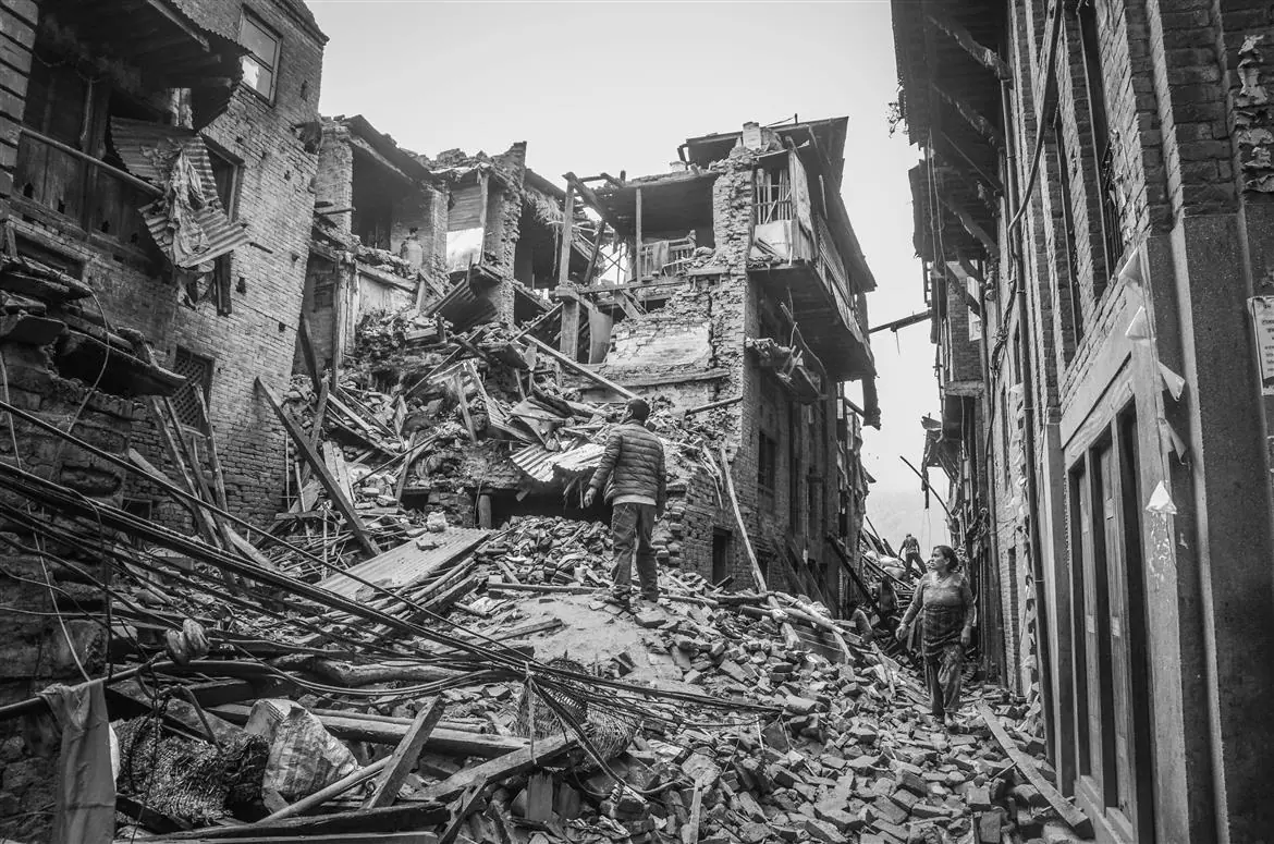 Terremoto in Giappone, un cane salva una donna di 80 anni
