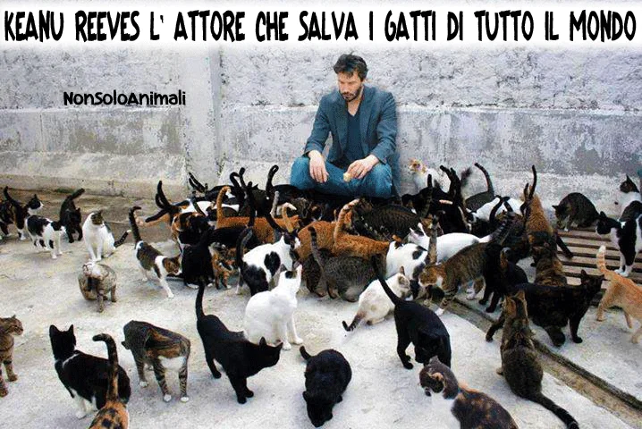 Kaenu Reeves paladino di mille mici