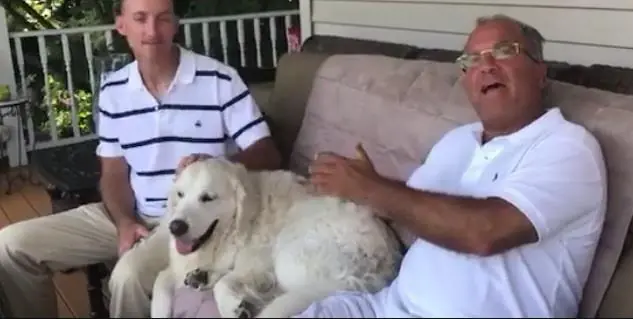 Cane eroe salva un cerbiatto: il video