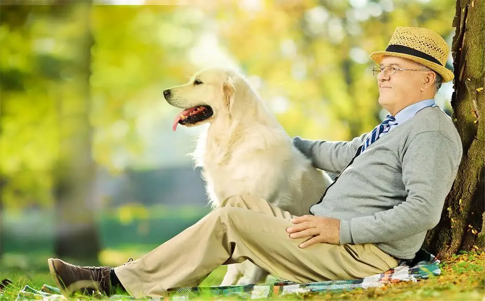 Animali in casa di riposo: la svolta