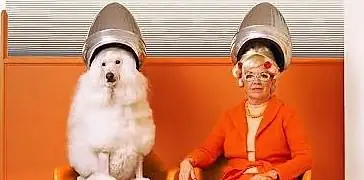 Pets, ecco perché li amiamo così tanto