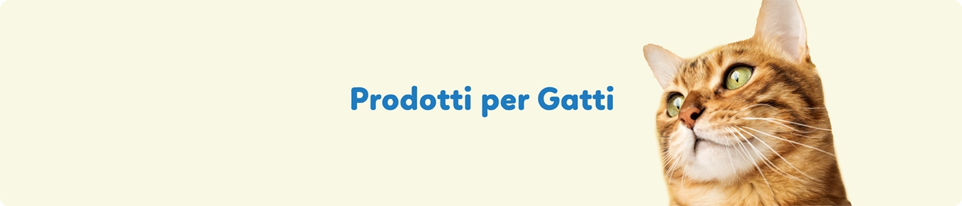 Cibo secco Per razze (gatti)