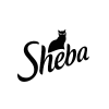 Sheba